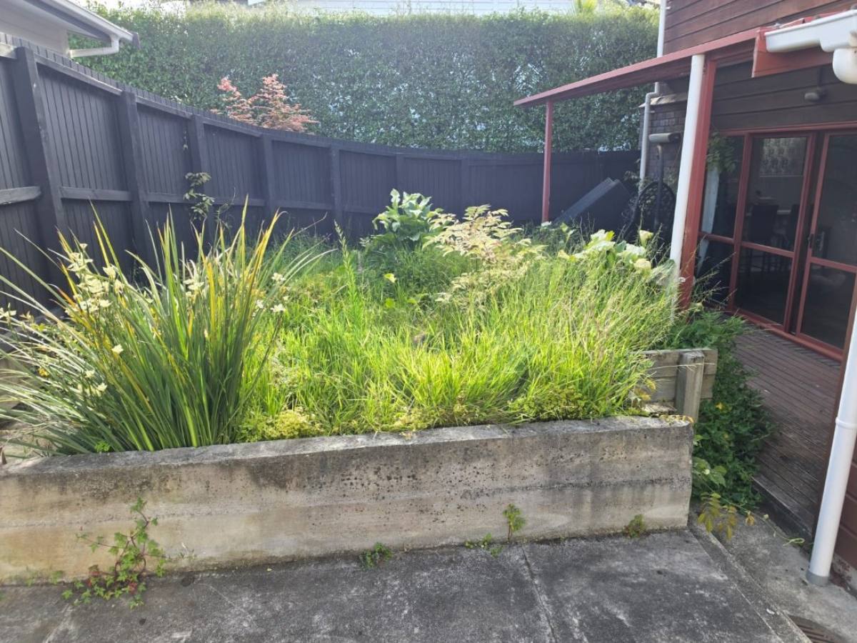 Before: raised garden bed