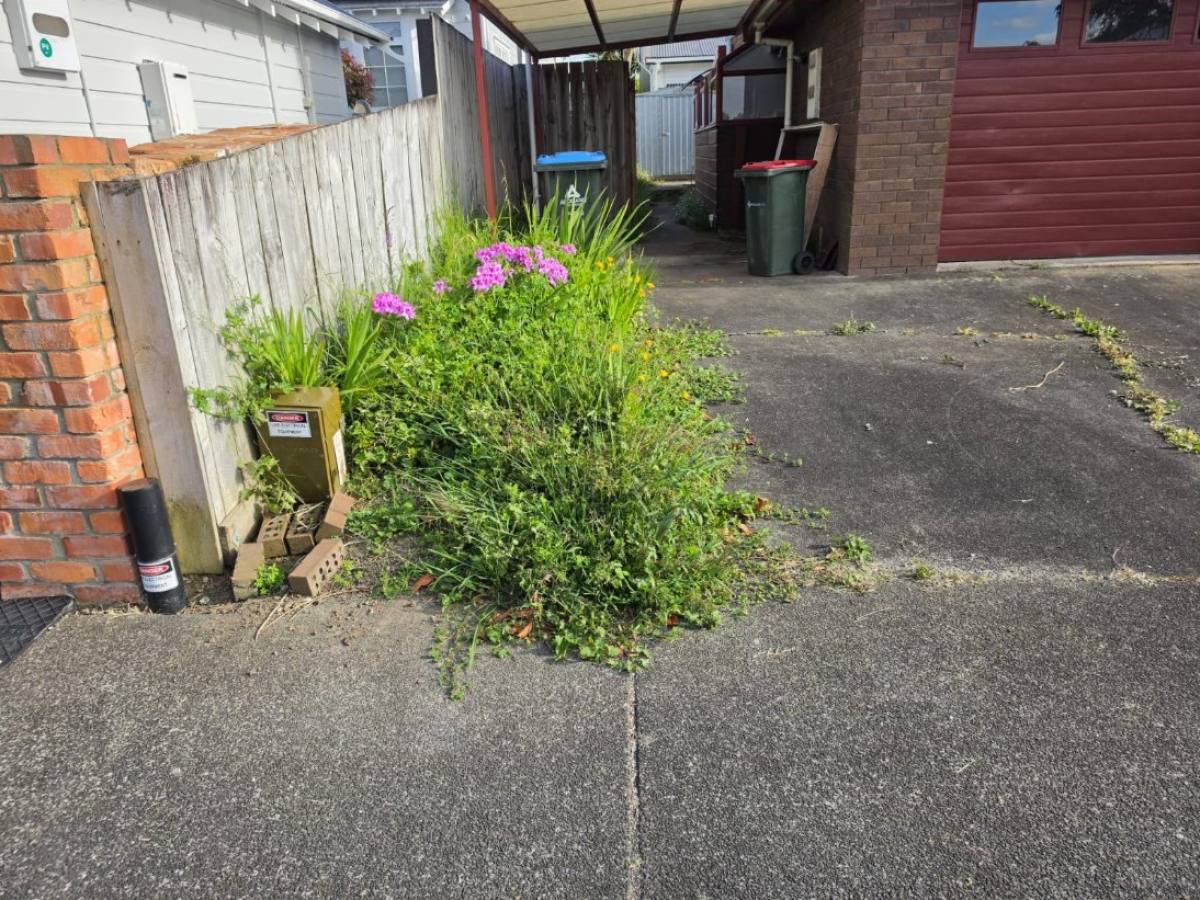 Before: driveway corner