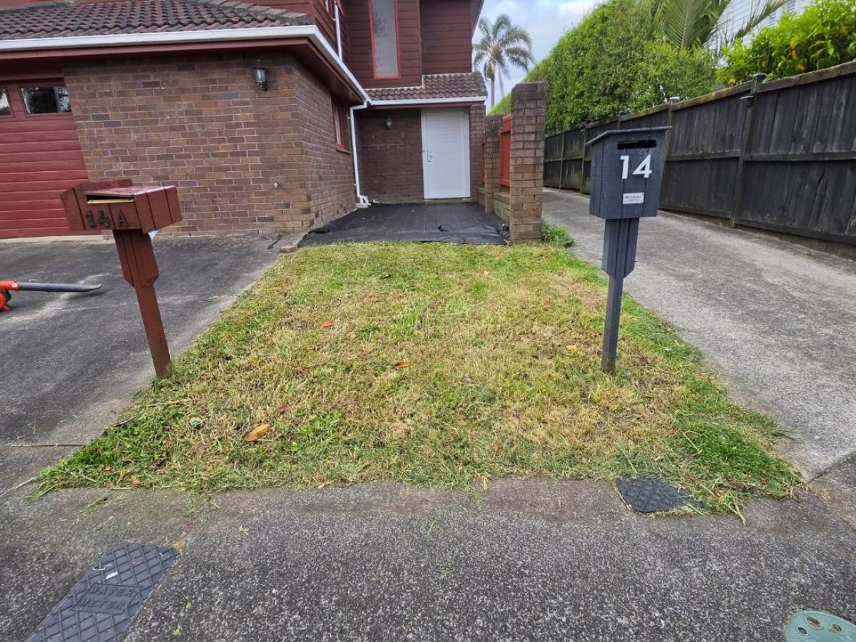 After: front lawn and berm