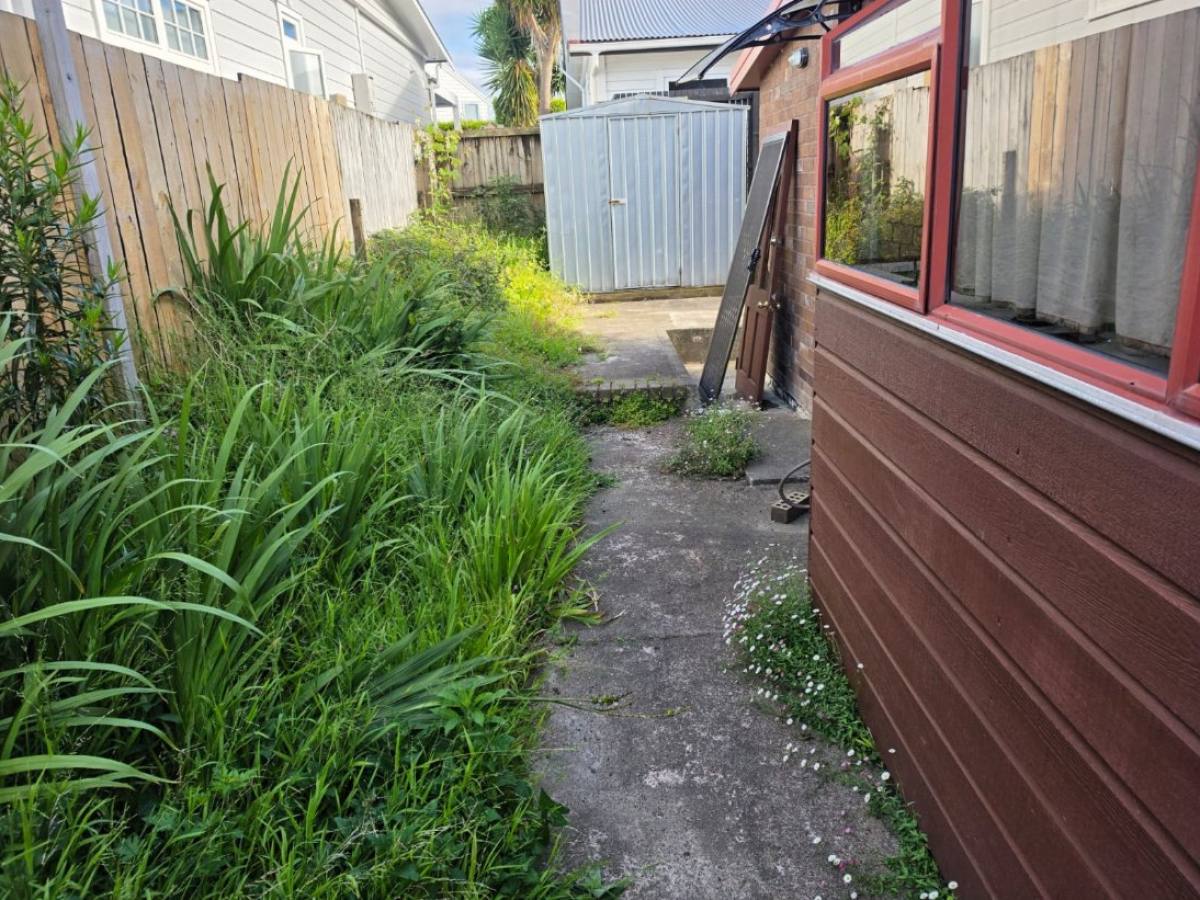 Before: side path garden strip